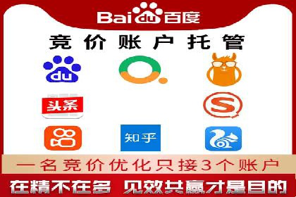 SEM代理操作技巧：成功案例揭秘